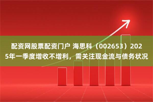 配资网股票配资门户 海思科（002653）2025年一季度增收不增利，需关注现金流与债务状况