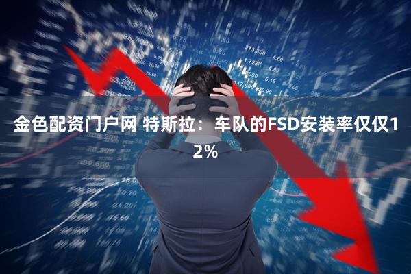 金色配资门户网 特斯拉：车队的FSD安装率仅仅12%