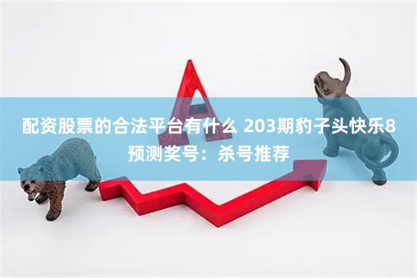 配资股票的合法平台有什么 203期豹子头快乐8预测奖号：杀号推荐